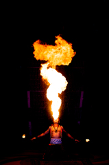 Fire Performance