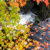 渓流と紅葉