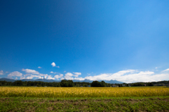 田園の向こうの八ヶ岳