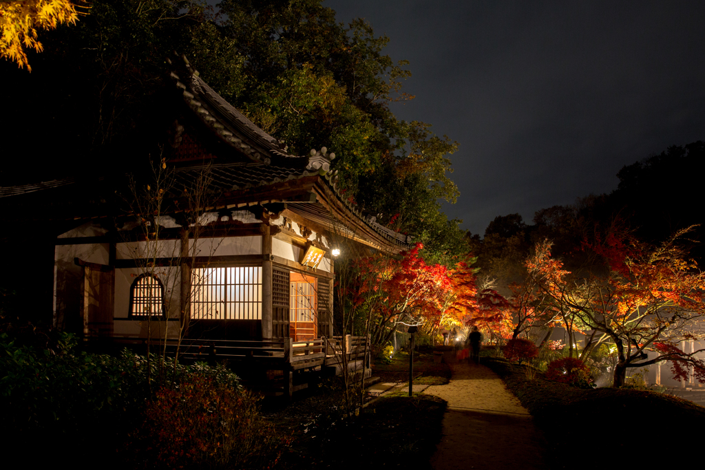 神勝寺ライトアップ＃４