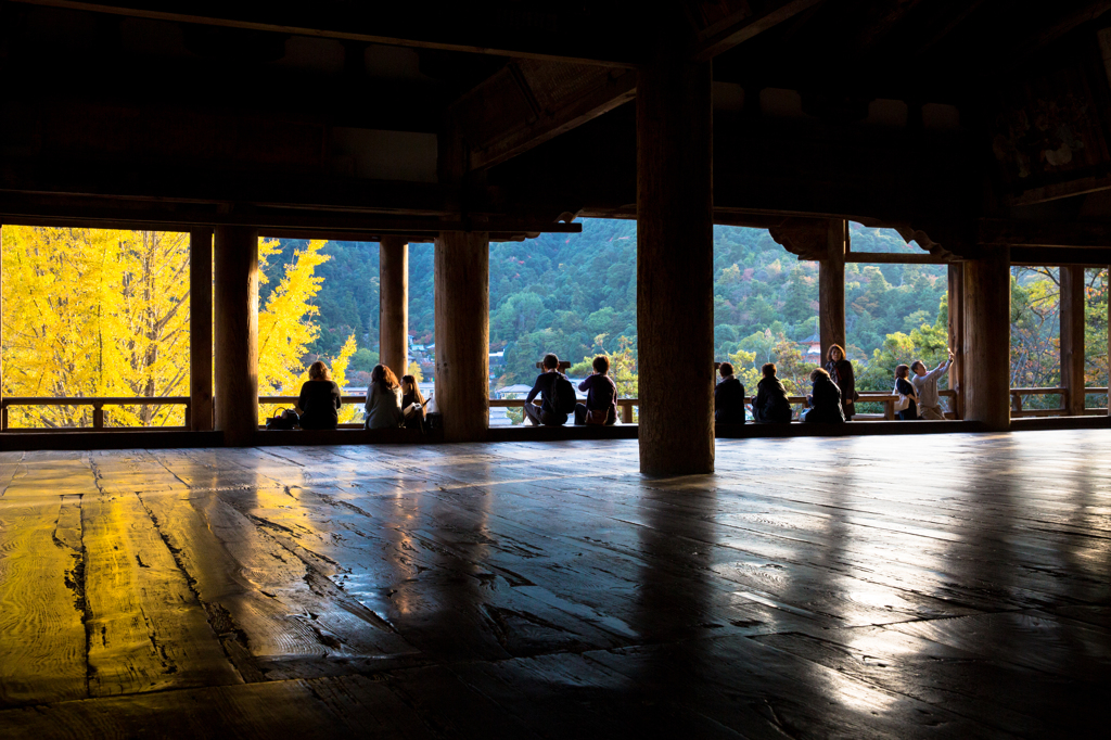 豊国神社の銀杏　＃８