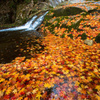 紅葉流れて