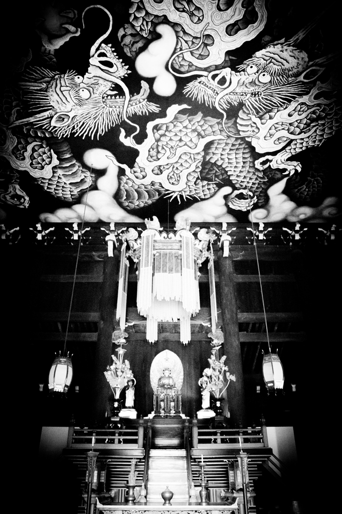 双龍