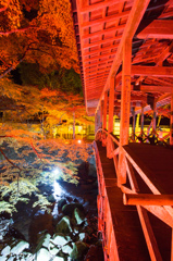 巨蠎橋