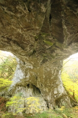 雄橋　③