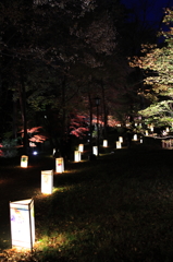 森林公園
