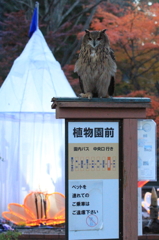 森林公園
