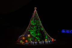 Merry Christmas！