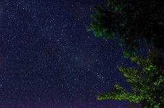 元気村の空