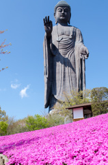 大仏