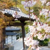 寺