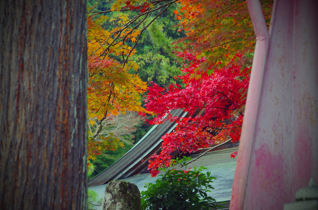 丹波　長安寺 (3)