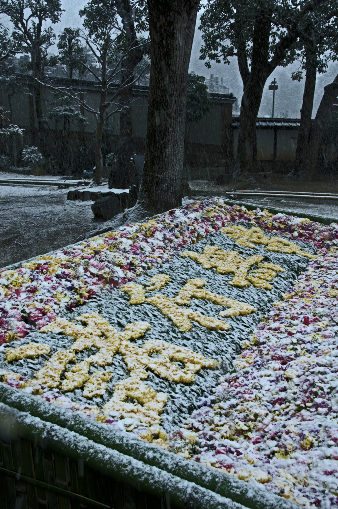 諸行無常　雪が降る…