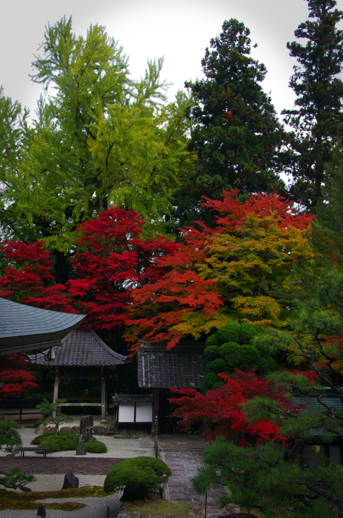 丹波　長安寺 (9)