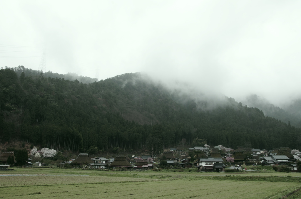かやぶきの里に雨 (1)