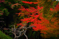 丹波　長安寺 (2)