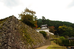冬、間近