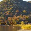 錦秋の広沢