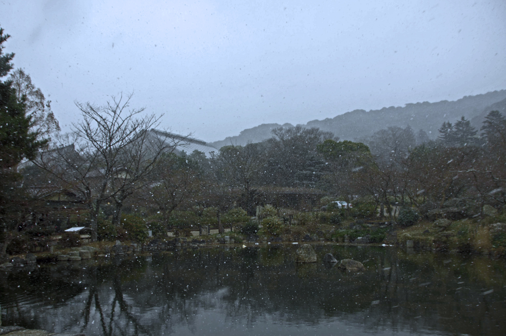 東山にも雪(ホコリではありません)