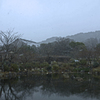 東山にも雪(ホコリではありません)