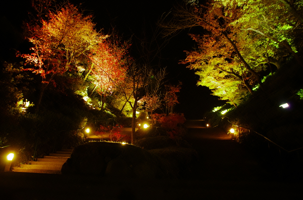 東山　夜景 (2)