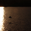 広沢の池の夕暮れ