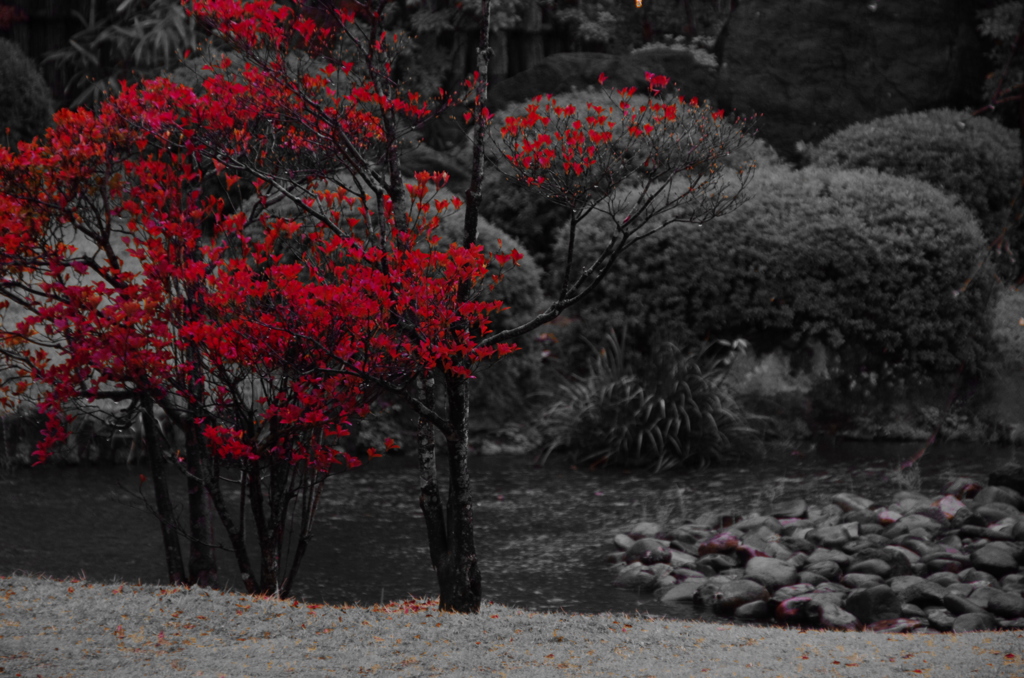 紅シリーズ (2)