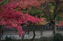 丹波　長安寺 (8)