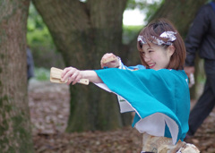 京都さくらよさこい　煌き