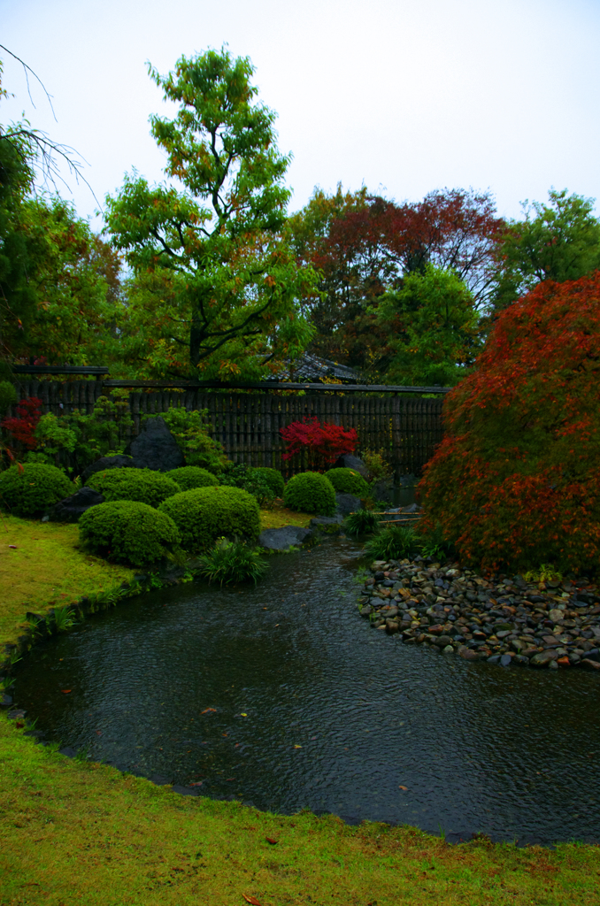 好古園、雨