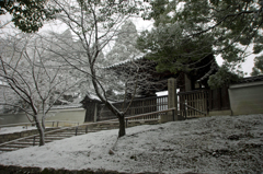 東山　雪 (2)