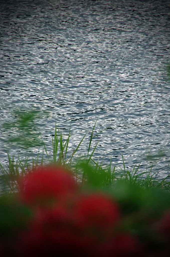 川を見つめて