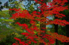 高雄　神護寺1