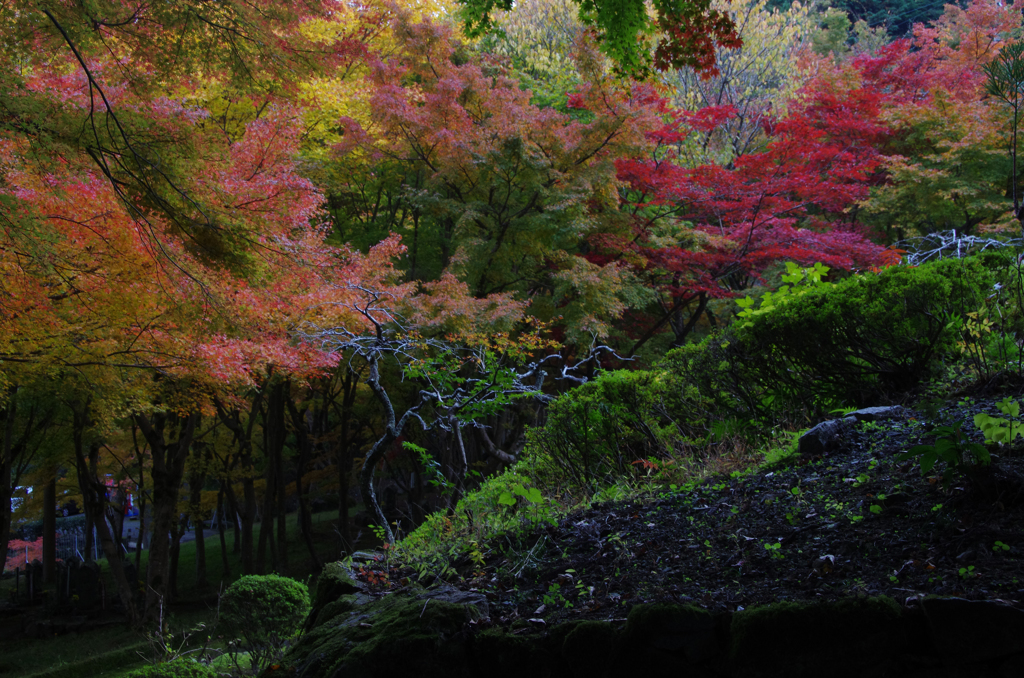 丹波　長安寺 (12)