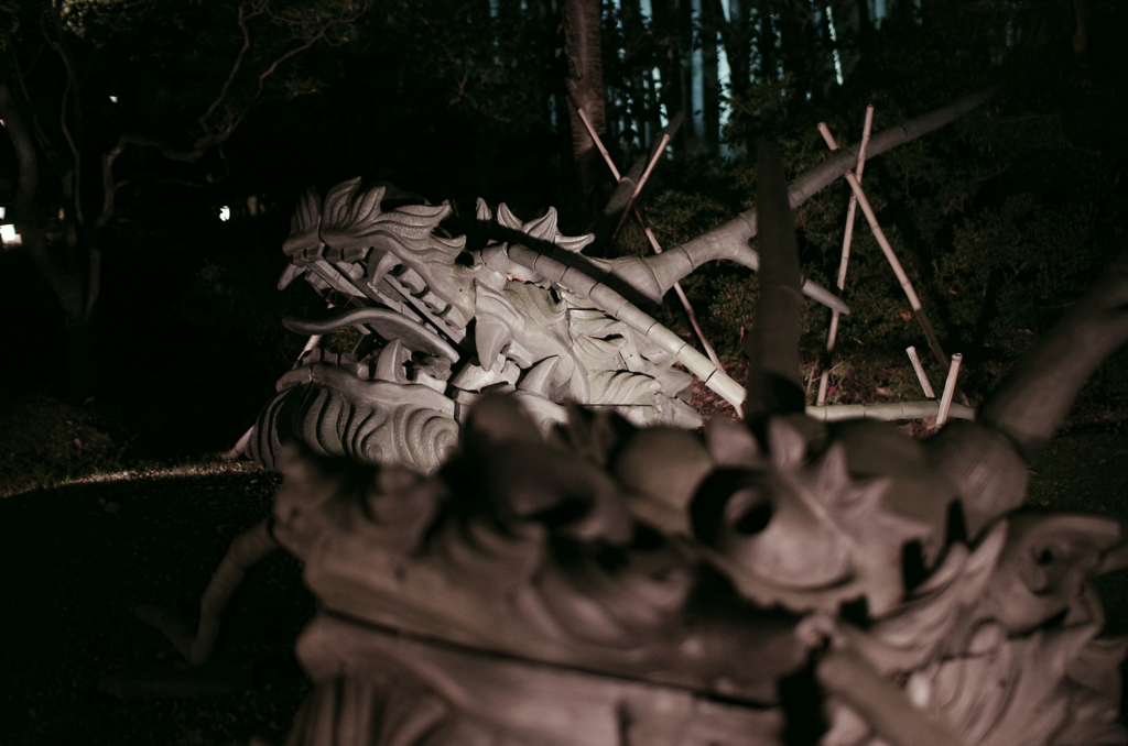 競龍