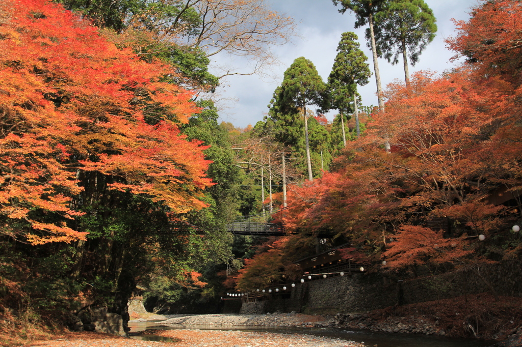 京都・高雄