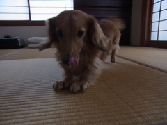 伸び伸びー