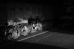 _DSC0392