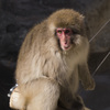 上野動物園#30