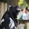 上野動物園#34