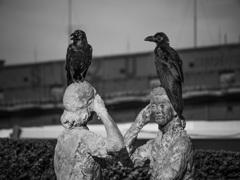横浜#13