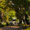 上野#10