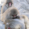 上野動物園#25