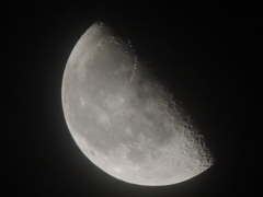 RSCN0808