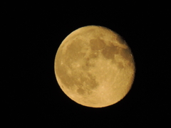 DSCN1921