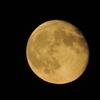 DSCN1921