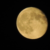 DSCN1923
