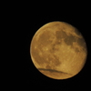 DSCN1915
