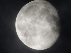 RSCN0794