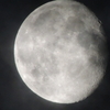 RSCN0794